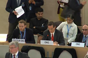 Bingham delivering a statement at the Human Rights Council